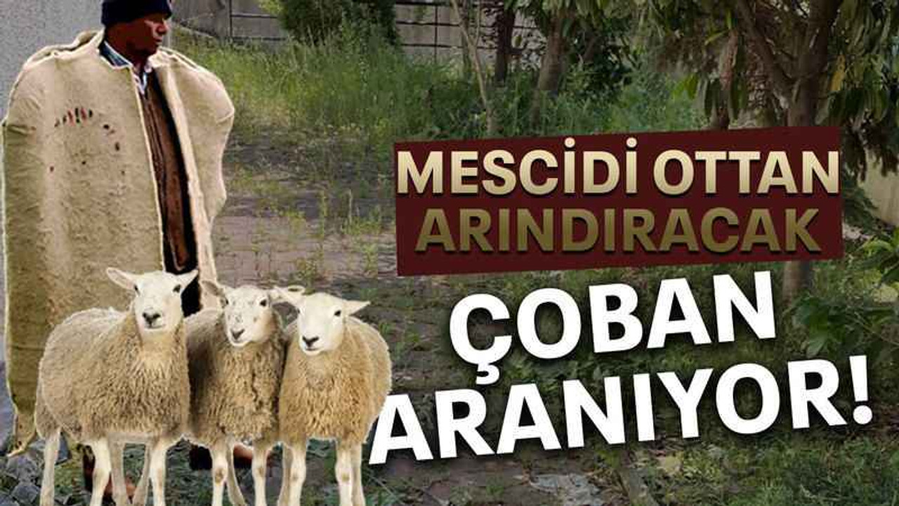 Mescidi ottan arındıracak çoban aranıyor!